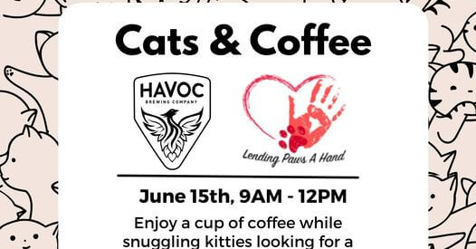 Cats and coffee at Havoc