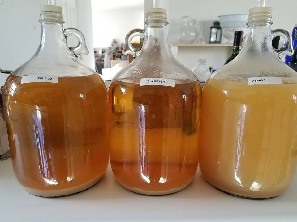 Intermediate mead making class.