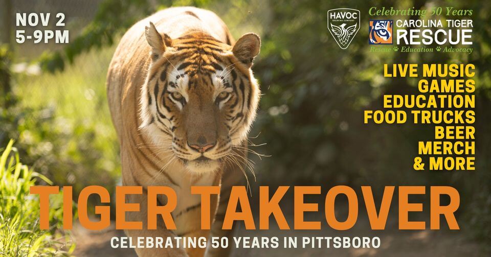 Tiger takeover at Havoc Brewing