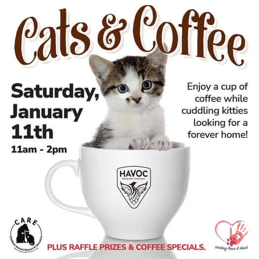 Cats and Coffee at Havoc